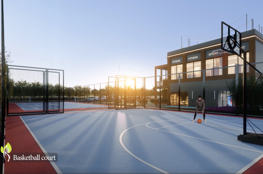 Basketball Court